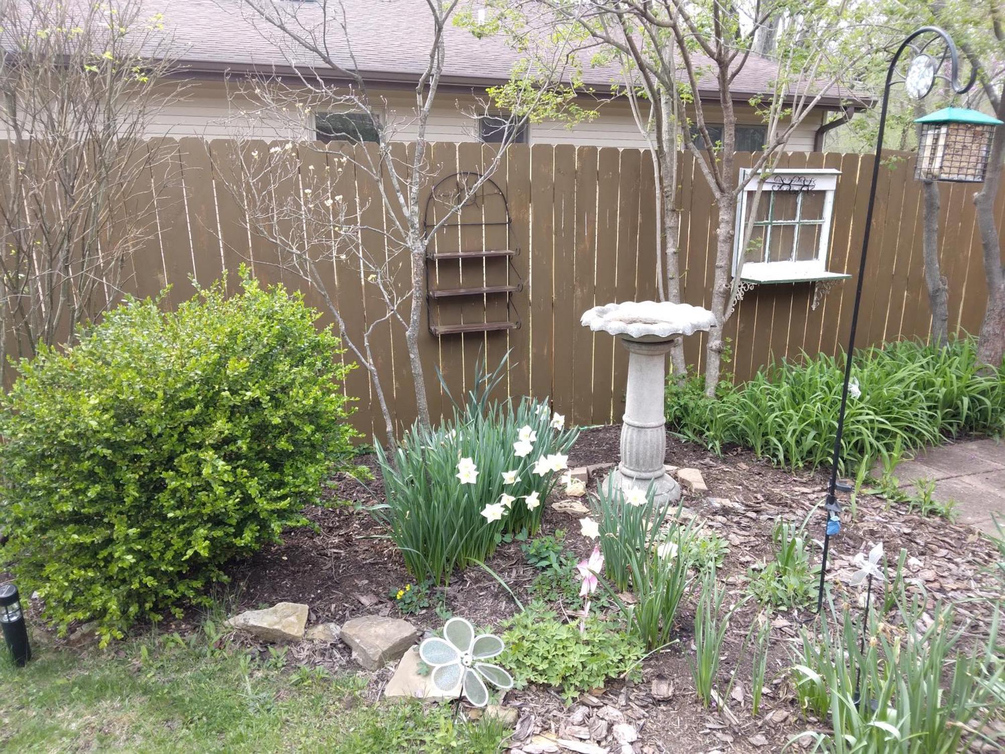 Bed and Breakfast Betty Lous Garden Nashville Zewnętrze zdjęcie